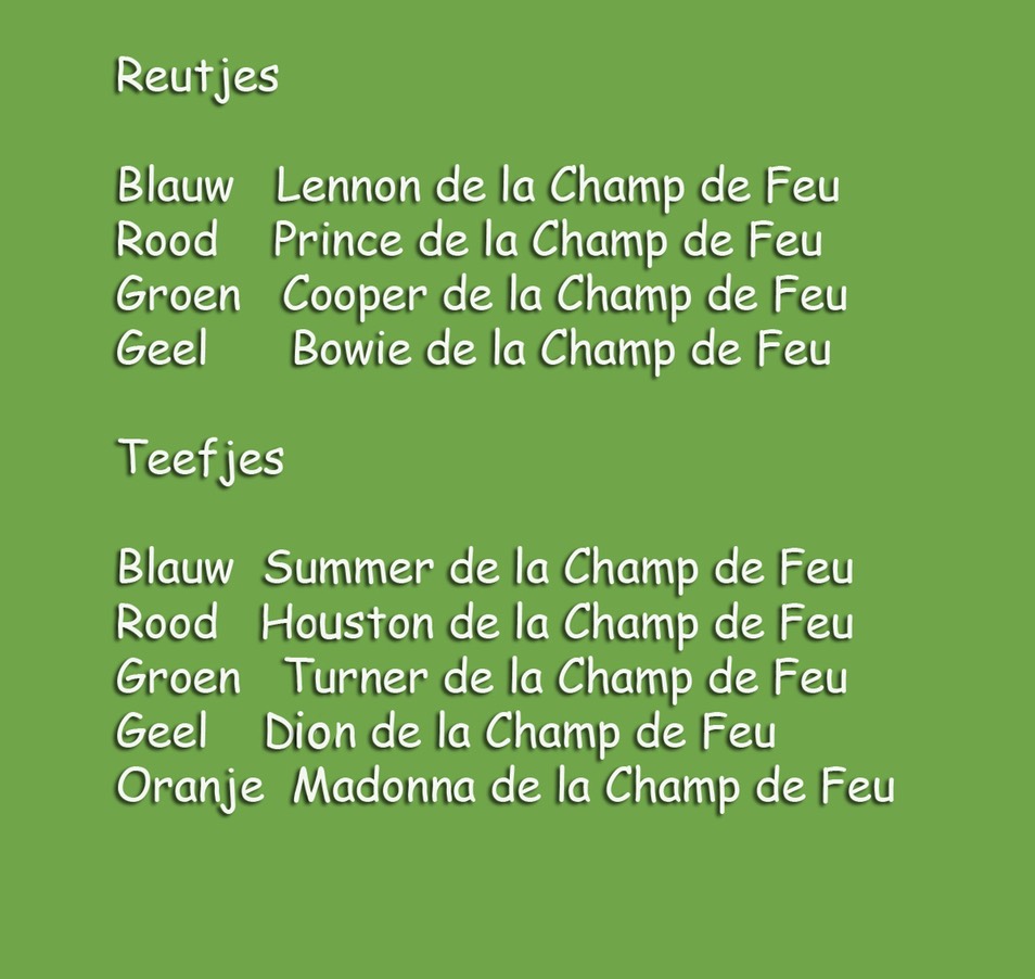 De namen voor Bijou en Goethe copy